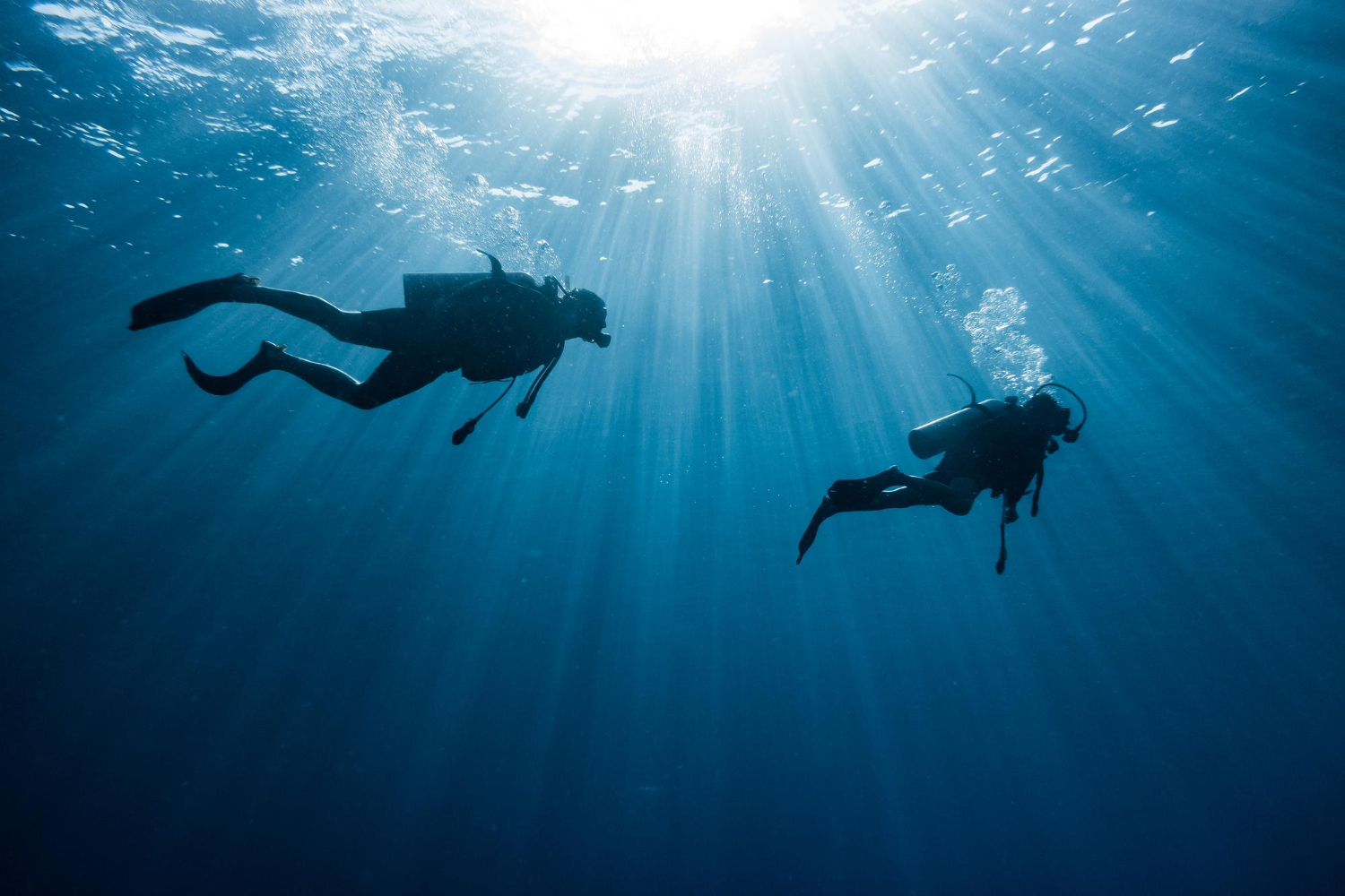 3 Must-Do Activities in the Alentejo Besides Surfing: Scuba Diving, Hiking, and Gastronomy